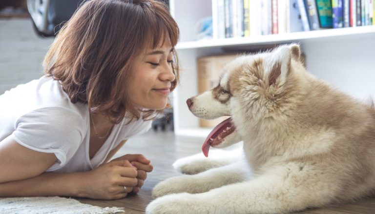 動物死後會上天堂嗎